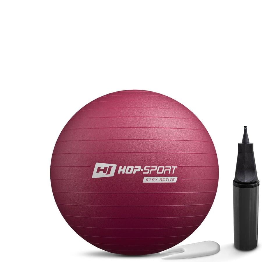 Фітбол з насосом Hop-Sport 45 см Сливовий (HS-R045YB) (5314)