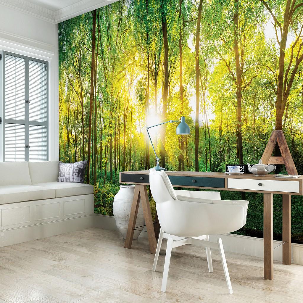 Фотошпалери флізелінові 3D у вигляді дерева Природа Весняний ліс у променях сонця з клеєм 350x250 см (13461VX7) - фото 8 Фотошпалери флізелінові 3D у вигляді дерева Природа Весняний ліс у променях сонця з клеєм 350x250 см (13461VX7) - фото 8