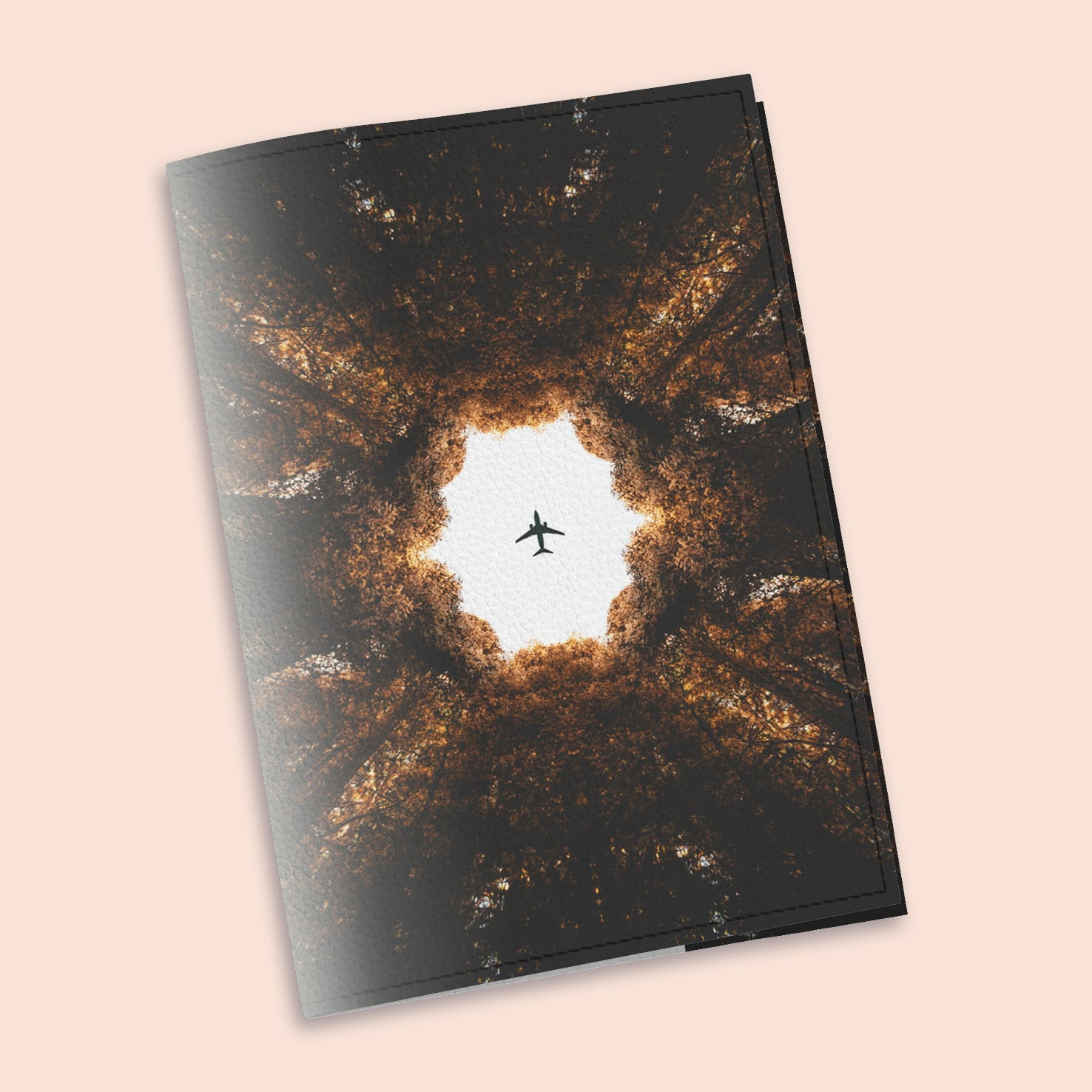 Обложка на паспорт The cover Самолет  9,6x13,3 см (909006)