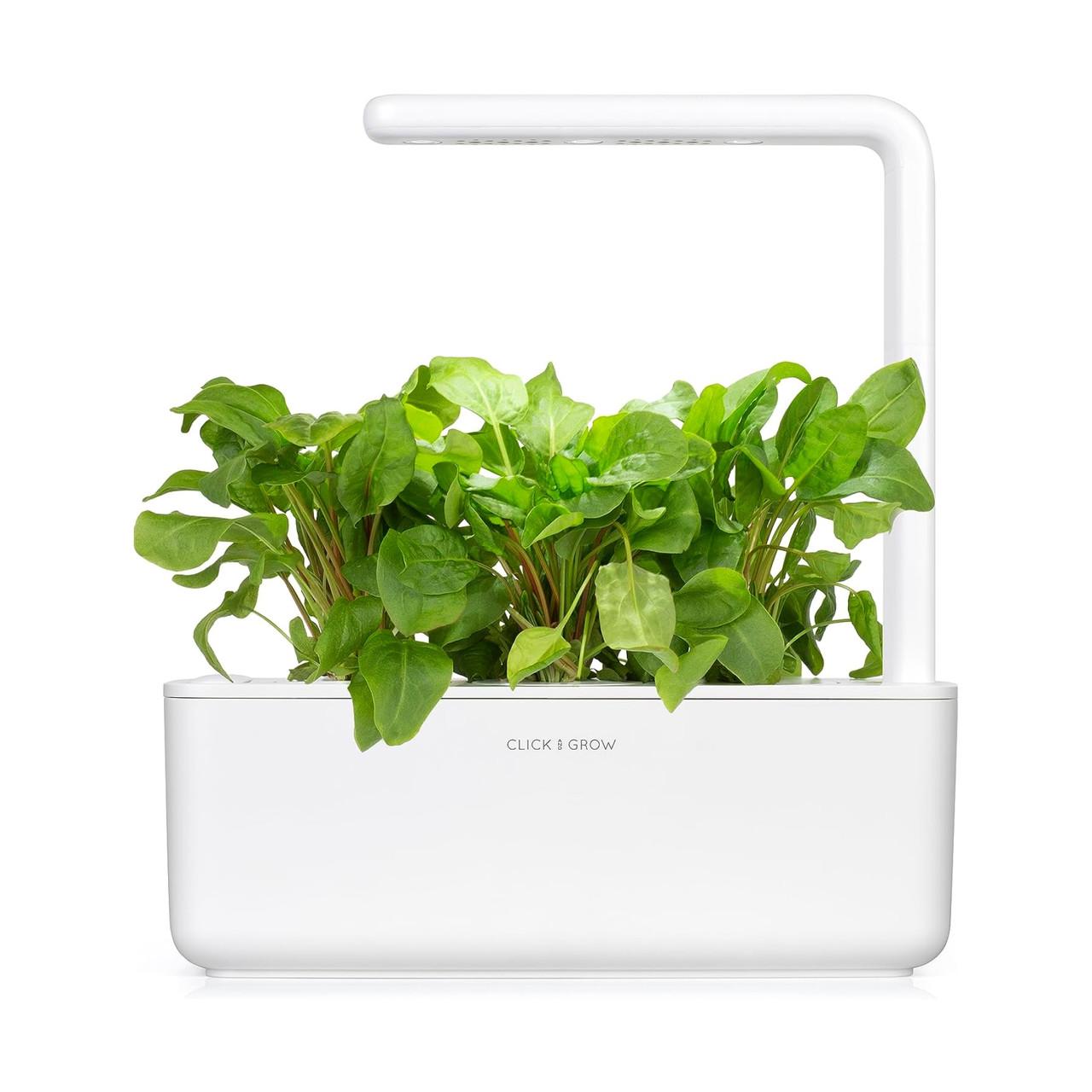 Картридж сменный Click & Grow Зеленый щавель 3 капсулы (A-014376) - фото 5