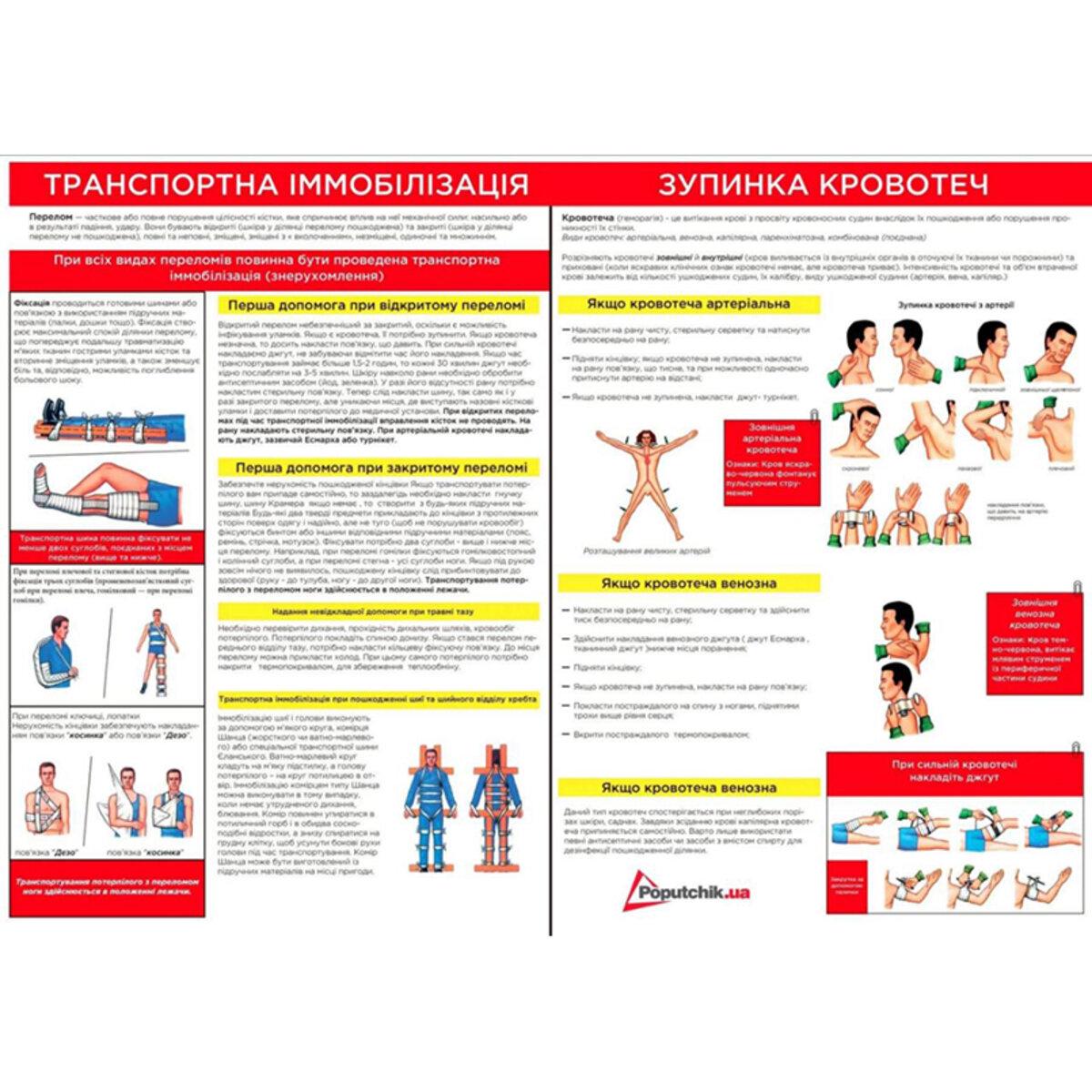 Аптечка медицинская транспортная-1 - фото 3 Аптечка медицинская транспортная-1 - фото 3