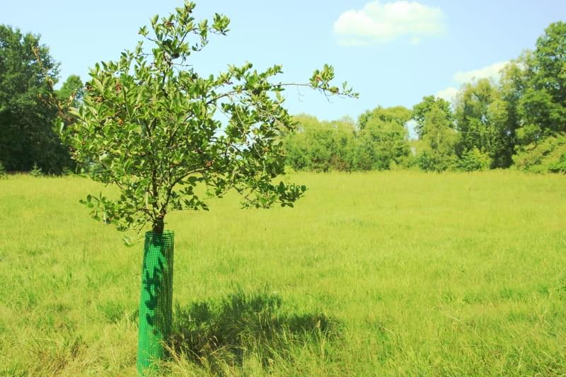 Сітка садова К 500 вічко 15х15 мм 50 см - фото 4