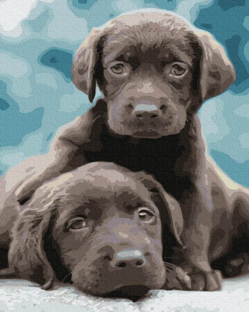 Картина по номерам Brushme GX8215 Щенки лабрадора 40x50 см (1318368036)