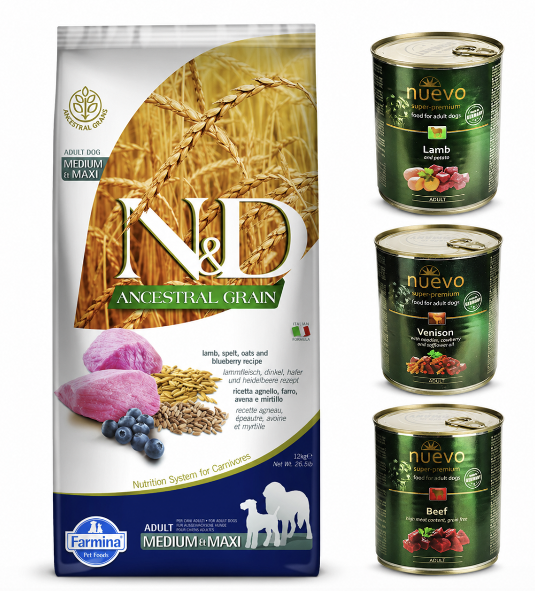 Набор корма для собак средних и крупных пород Farmina N&D Ancestral Grain с ягненком полбой овсом черникой 12 кг и консервы Nuevo 3 шт. по 800 г