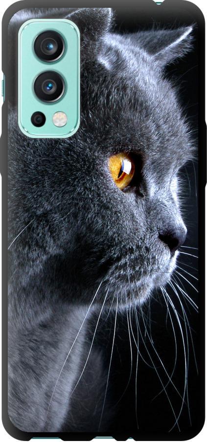 Чехол на OnePlus Nord 2 Красивый кот (3038b-2468-42517)