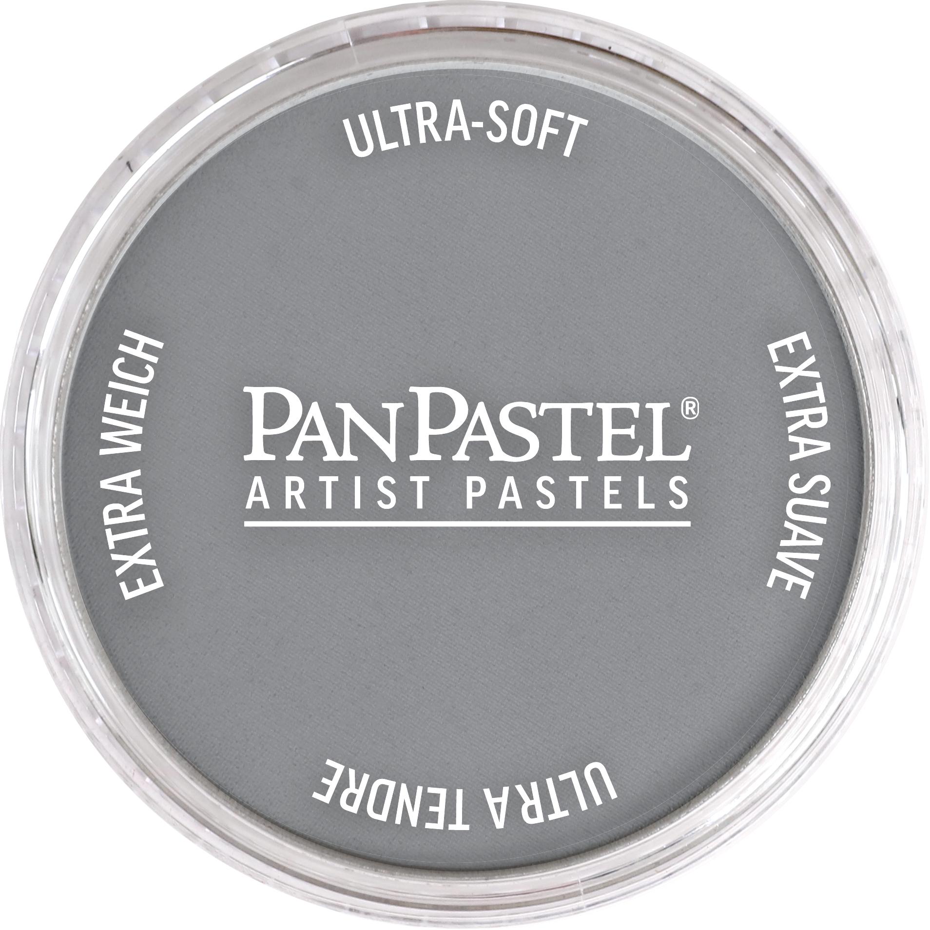 Пастель художня PanPastel 840.7 Paynes Grey Light 9 мл (28769479)