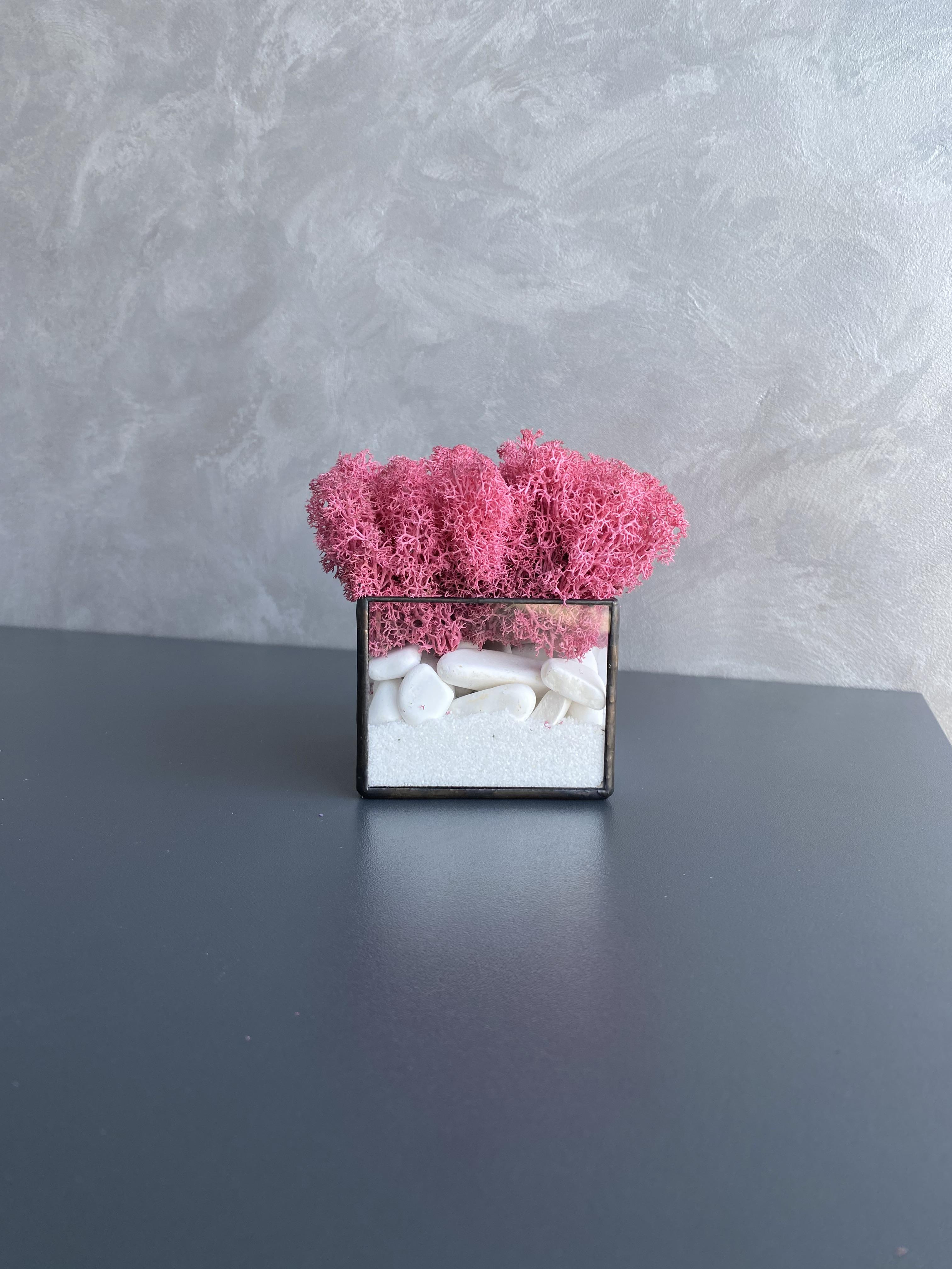 Моссариум со стабилизированным мхом (32686037)