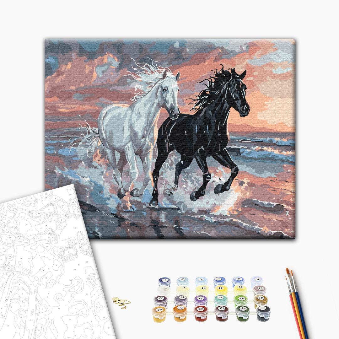 Картина по номерам Brushme Дуэт ветров 40x50 см (BS54025) Картина по номерам Brushme Дуэт ветров 40x50 см (BS54025)