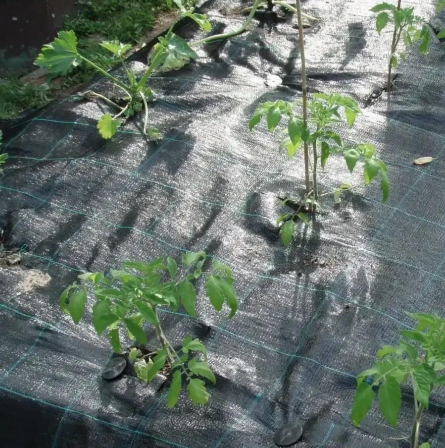 Агротканина для мульчування Shadow застилочна 100 г/м² 1,7х5 м Чорний (iz16431) - фото 4 Агротканина для мульчування Shadow застилочна 100 г/м² 1,7х5 м Чорний (iz16431) - фото 4