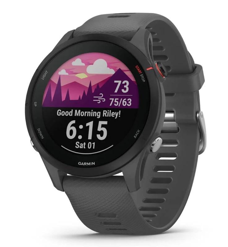 Смарт-часи Garmin Forerunner 255 Slate (010-02641-43)