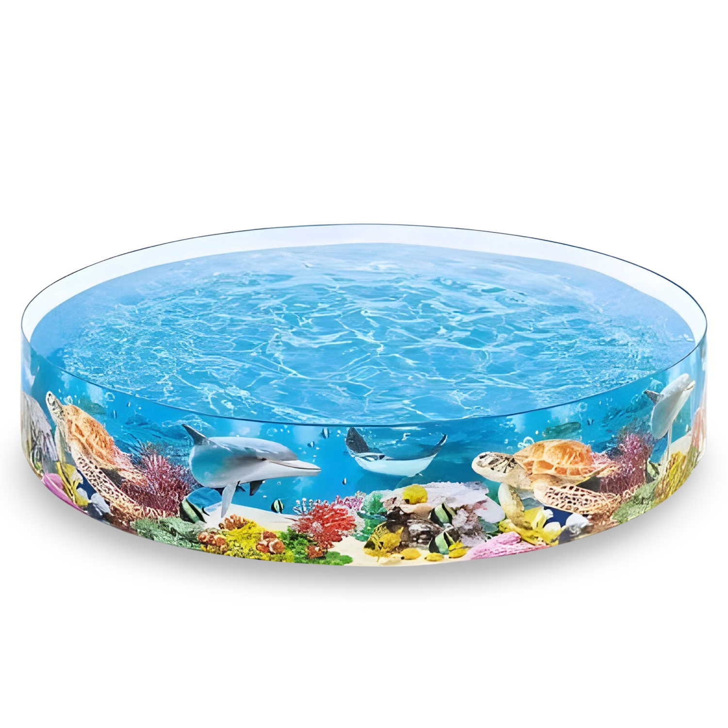 Бассейн каркасный Intex 58472 NP Океанский риф 244x46 см 2089 л от 3 лет (58472) Бассейн каркасный Intex 58472 NP Океанский риф 244x46 см 2089 л от 3 лет (58472)
