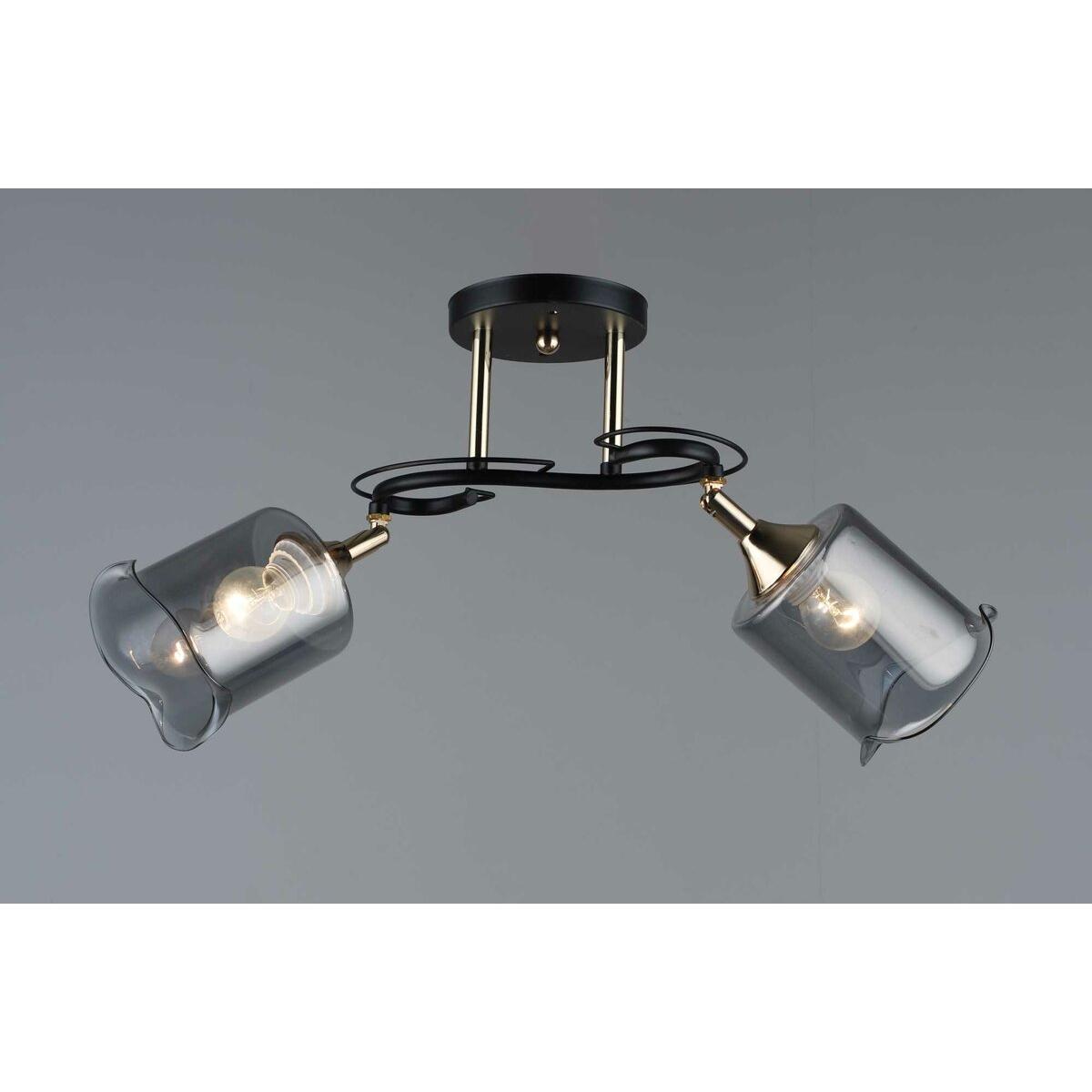 Люстра Sirius B N4862/2 на 2 плафона (372573)