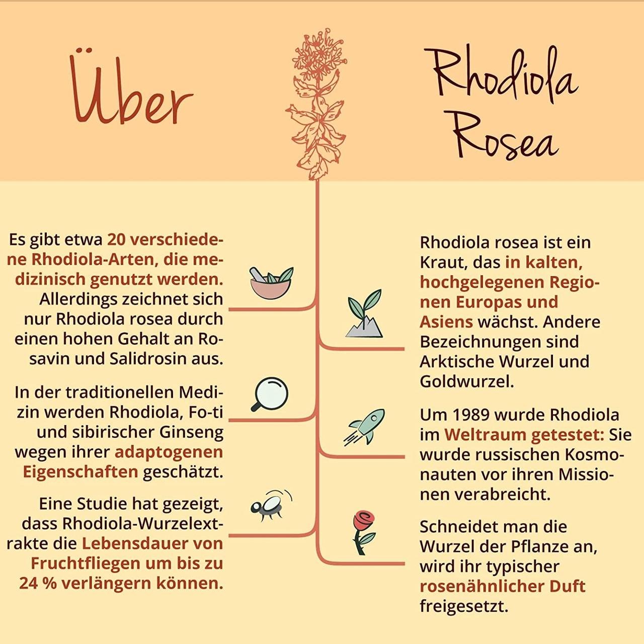 Витамины для иммунитета Vegavero Rhodiola Plus 120 капс. (5009430) - фото 4