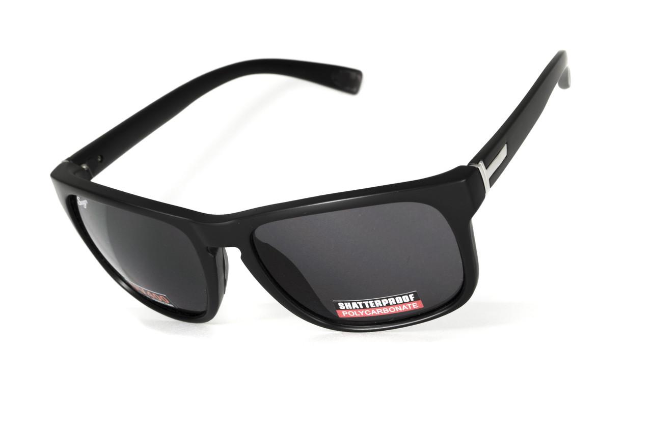 Очки защитные открытые Swag Ga-Day Серый