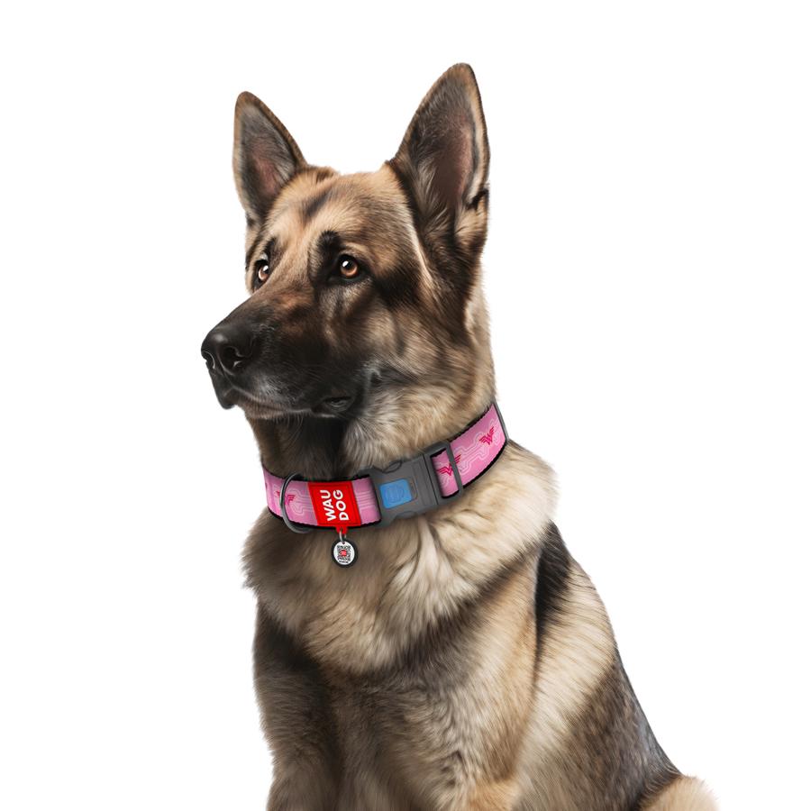Ошейник для собак с QR-паспортом Waudog Nylon Чудо-женщина 1 пластиковый фастекс XXL 35 мм 46-70 см Pink (284-2015) - фото 3