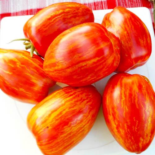 Семена Томат Florium Кабанята (17232)