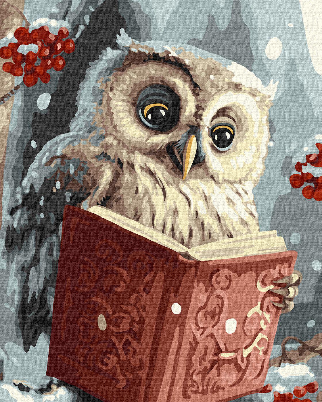 Картина за номерами Ideyka Розумна совушка кно6557 40x50 см (MTT-177737)