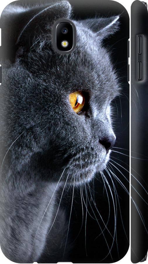 Чехол на Samsung Galaxy J7 J730 (2017) Красивый кот (3038m-786-42517)