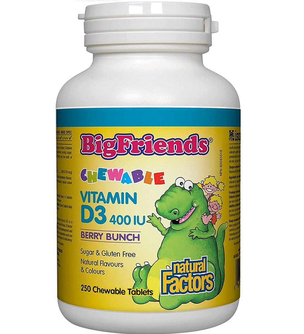 Витамин D Natural Factors Big Friends, Chewable Vitamin D3 400 IU 250 Chewable Tabs Berry Bunch