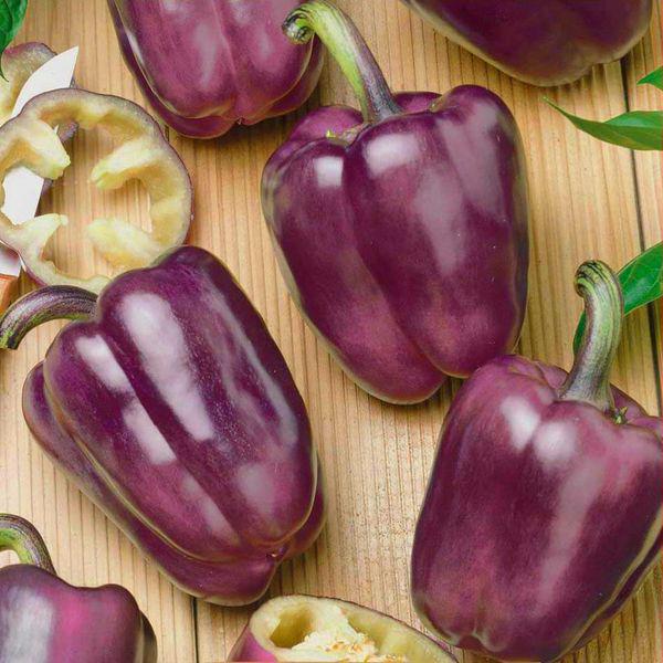 Семена Перец Ода ТМ Агроном ТД Гекса-Украина 01-20-091 (IR01326)