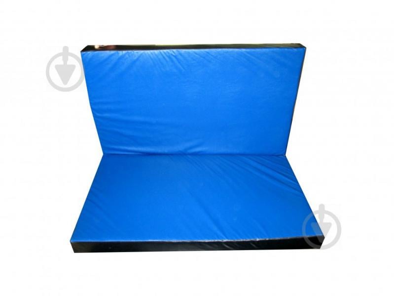 Мат спортивный складной Tia-Sport 120х100х8 см с 2-х частей синий (sm-0133)