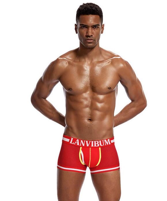 Трусы Lanvibum L Красный (5560)
