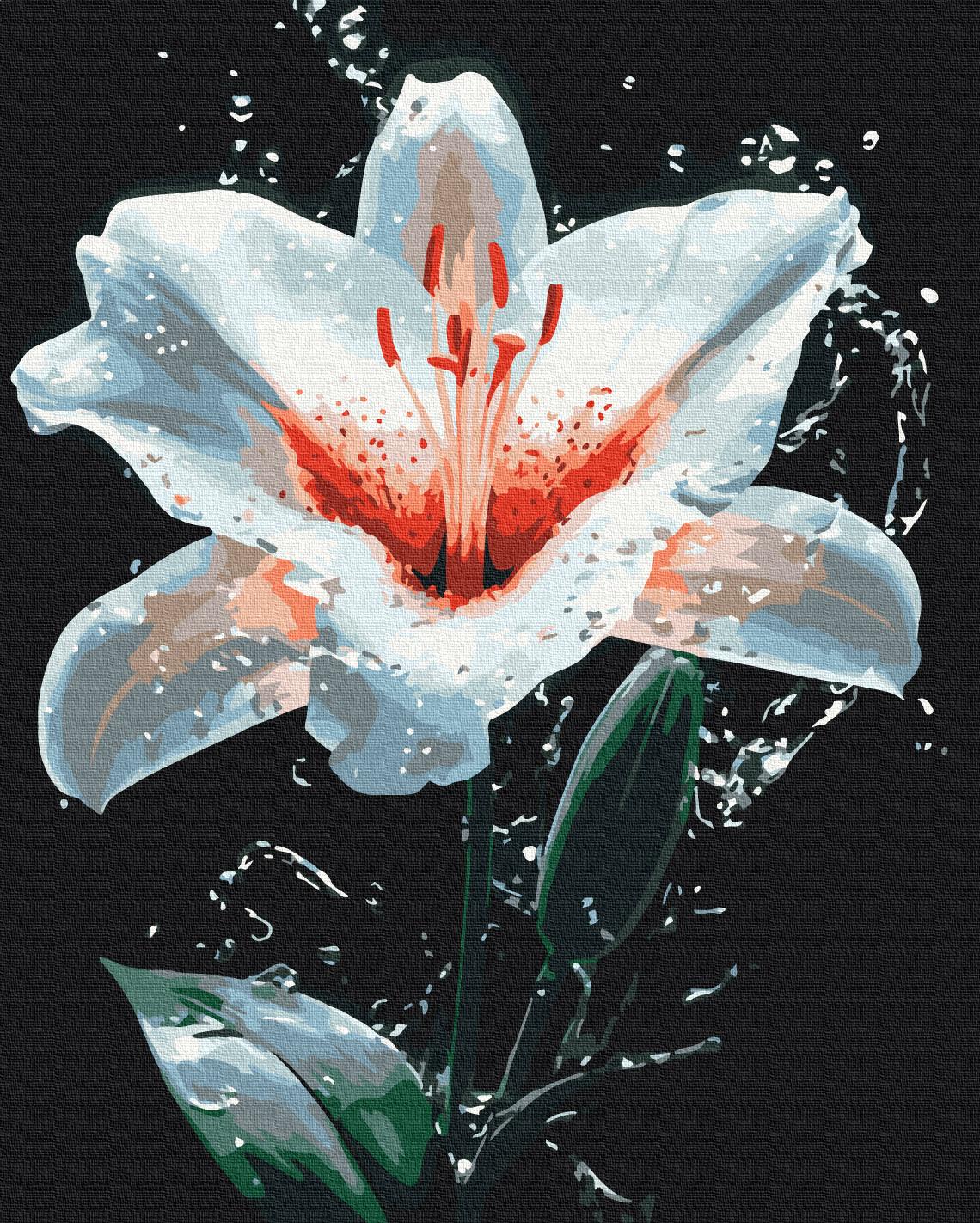 Картина по номерам Brushme Сияние лилии 40x50 см (BS54156)