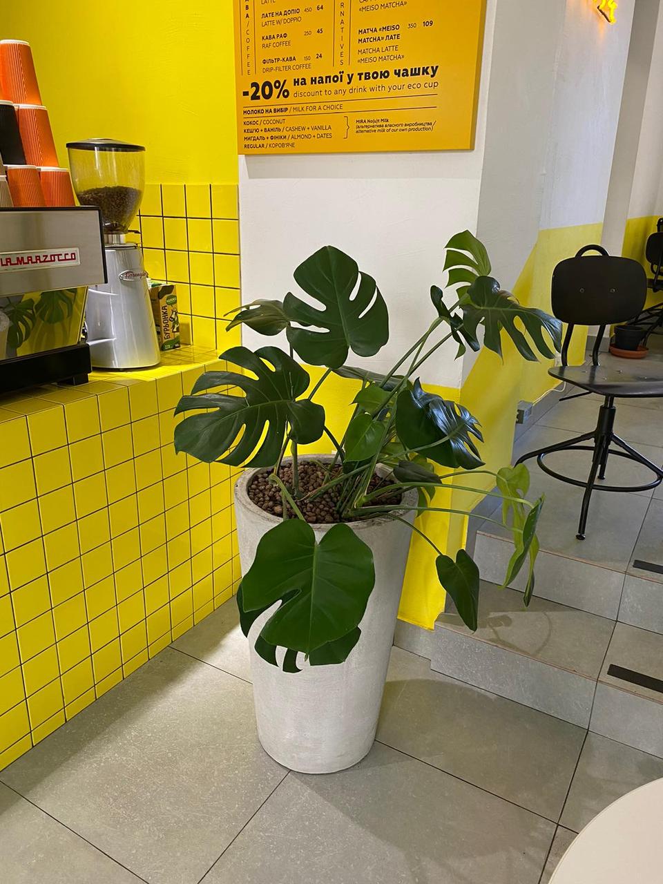 Вазон бетонний Мілан вуличний 500x370 мм 23 л (1918859788) - фото 7