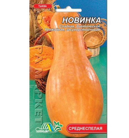 Насіння гарбуза Новинка помаранчевий подовжений циліндричний середньостиглий 2 г (26667)
