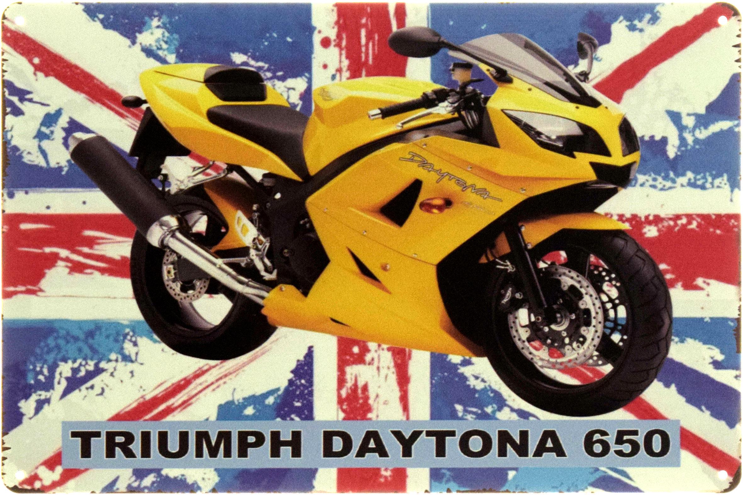 Табличка металлическая "Triumph Daytona 650" 20x30 см (ms-104596)