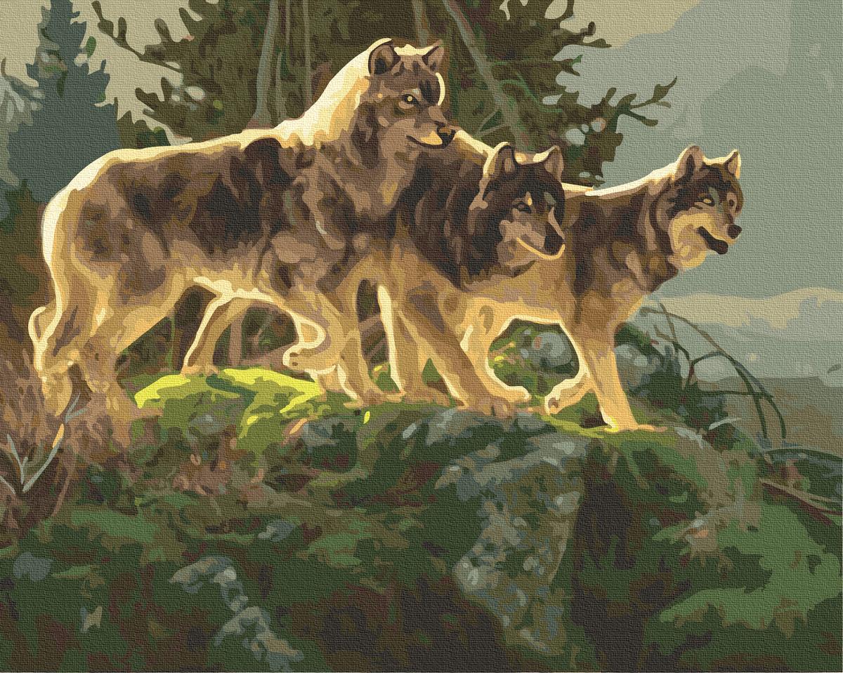 Картина по номерам Brushme Братство волков 40х50 см (GX4620)