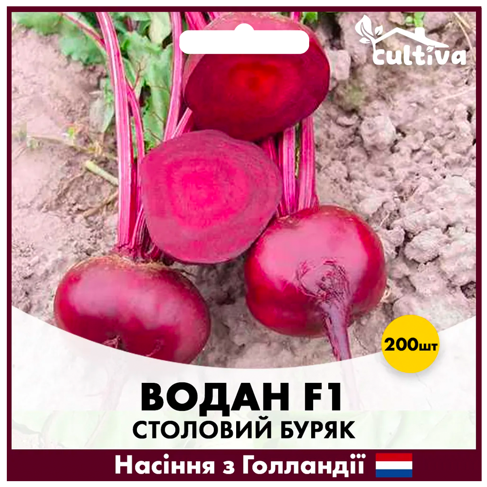 Семена свеклы Bejo Столовая Вода F1 200 шт. (00280)