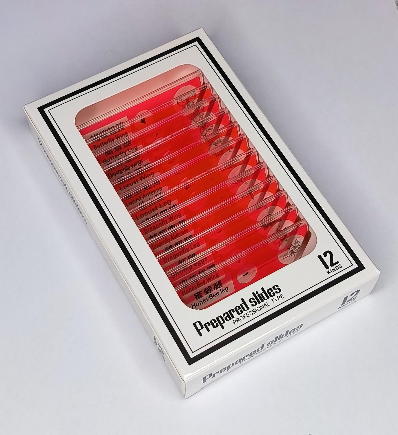 Набор микропрепаратов Sigeta Entrance насекомых/растение/животных 36 шт. (24116) - фото 6