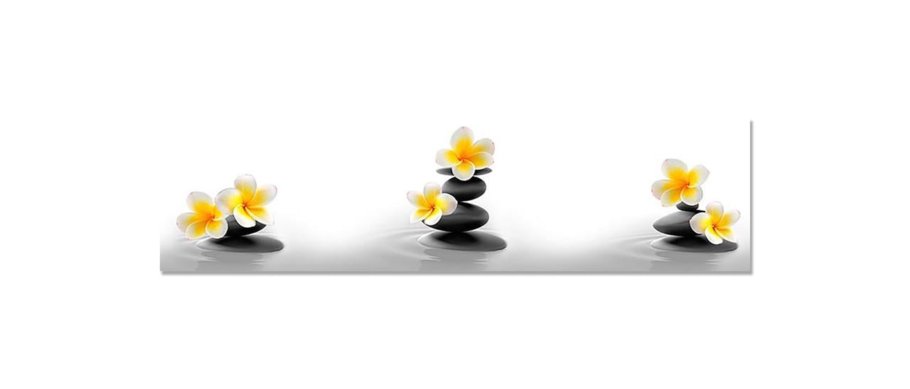 Наліпка вінілова 3D Zatarga Чорні камені і Квіти 650х2500 мм (1271805770) Наліпка вінілова 3D Zatarga Чорні камені і Квіти 650х2500 мм (1271805770)