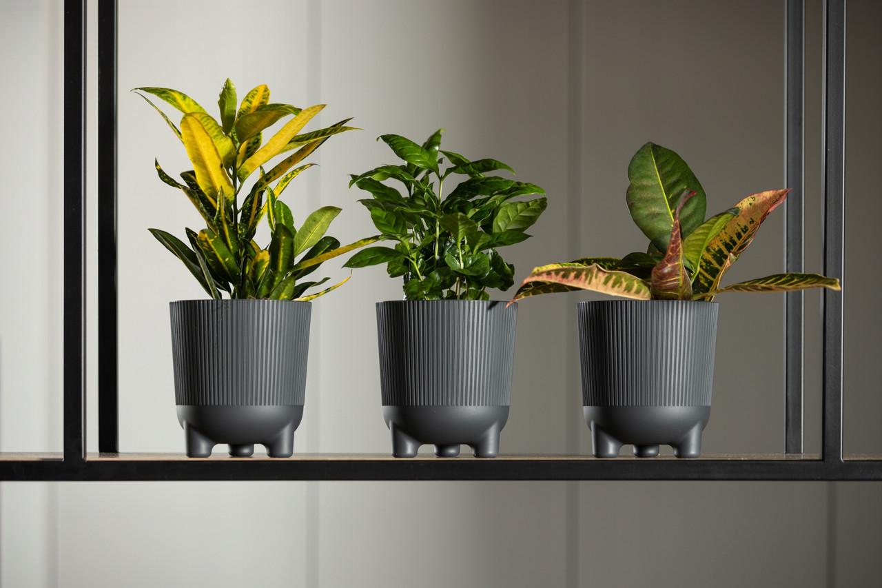 Вазон Lamela ARIA 181х195 мм Кремовый (A-022506) - фото 5