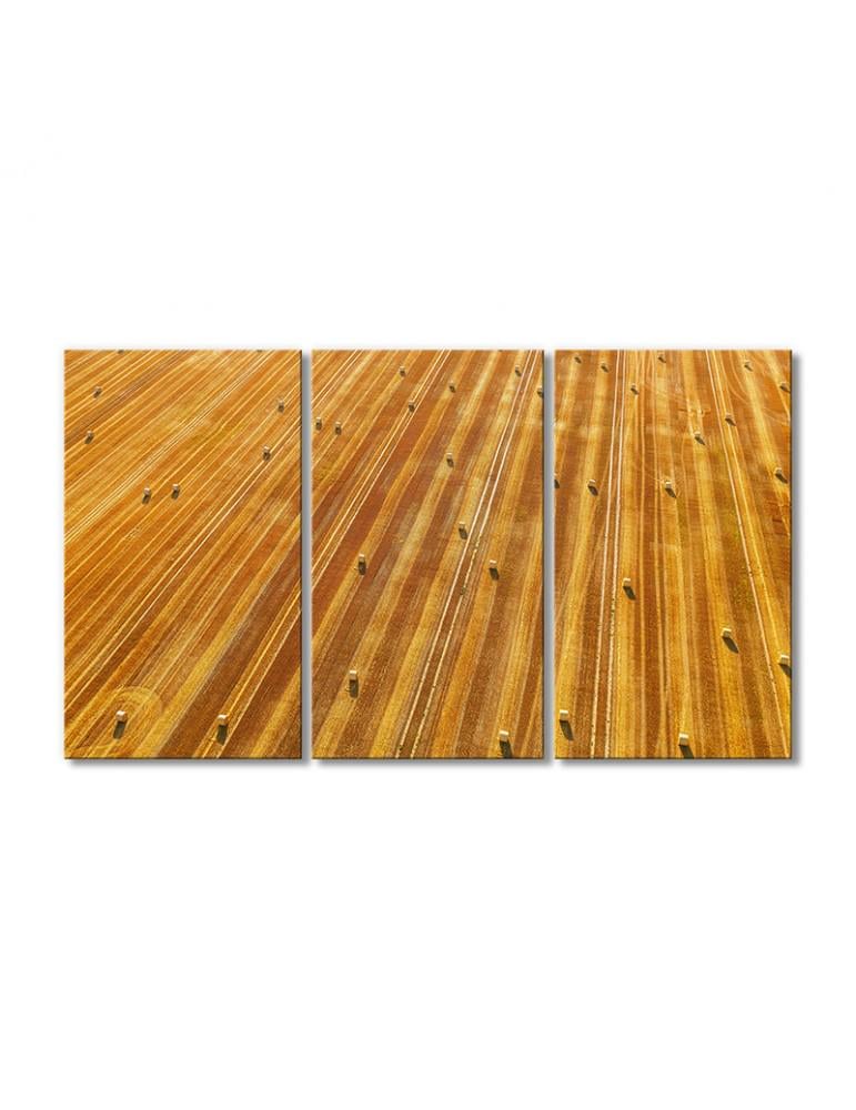 Картина модульная Пейзаж поле тюки сена 3 модуля 90x135 см (134743Pejzazh0010)