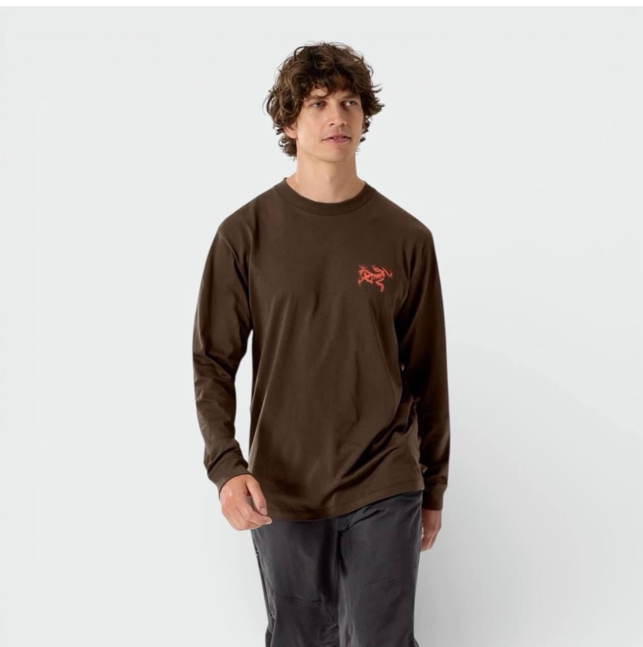 Лонгслів Arcteryx Kragg SL Cotton Bird Long Sleeve carob X00000953705