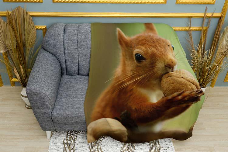 Плед Cute squirrel with a nut Forest плюш однослойный 150х210 см (114003-1)