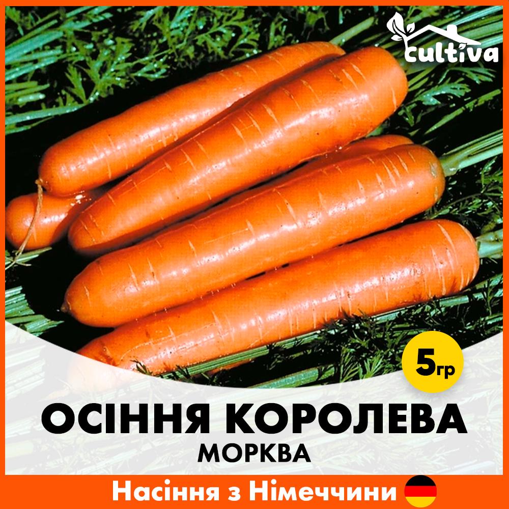 Насіння моркви Satimex Осіння Королева 5 г (R50219505)