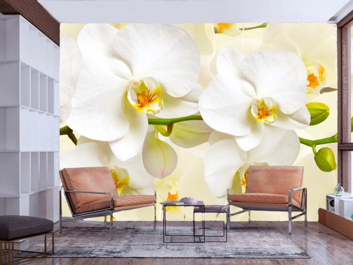 Фотошпалери флізелінові у вітальню Біла орхідея 3D 100х100 см (6023)