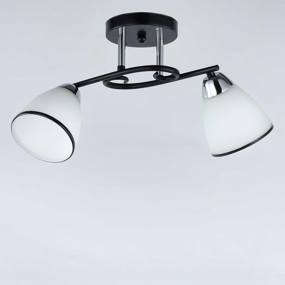 Люстра потолочная Light House SRS-19125/2 Черный + Хром/Белый (60223)