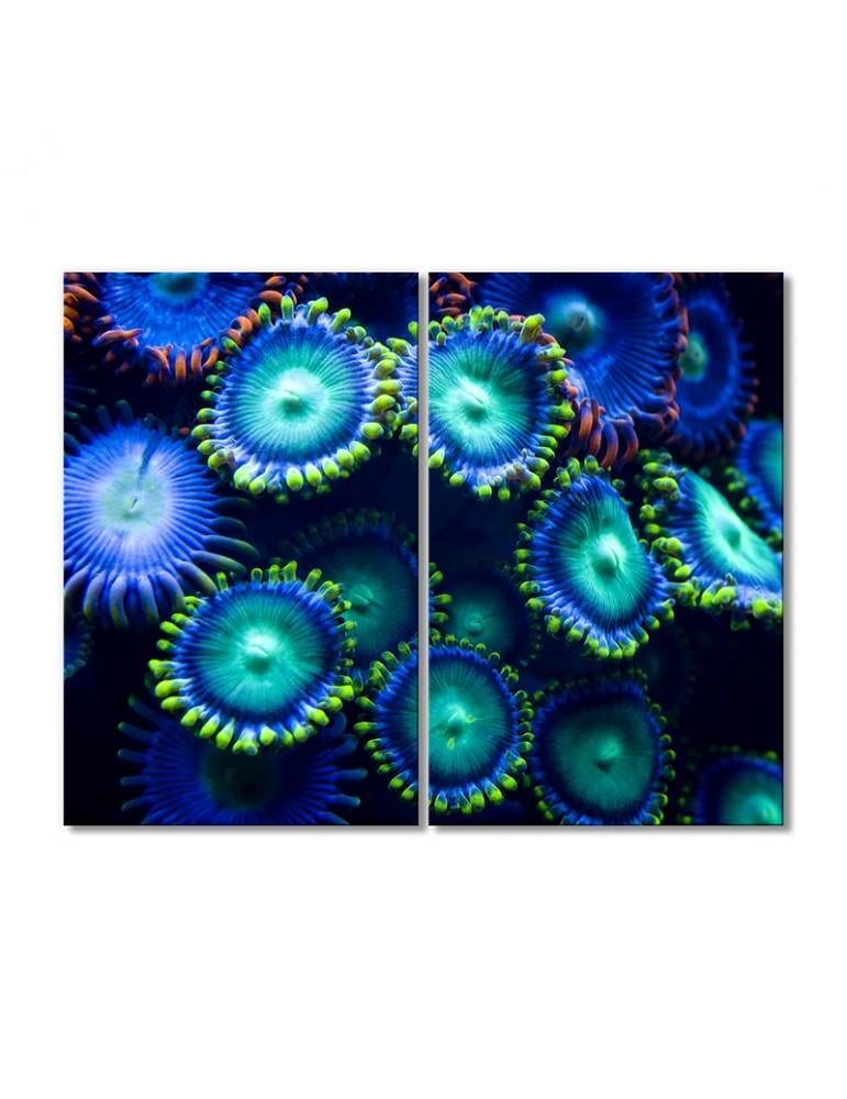 Картина модульная Подводные и водные растения 2 модуля 30х45 см