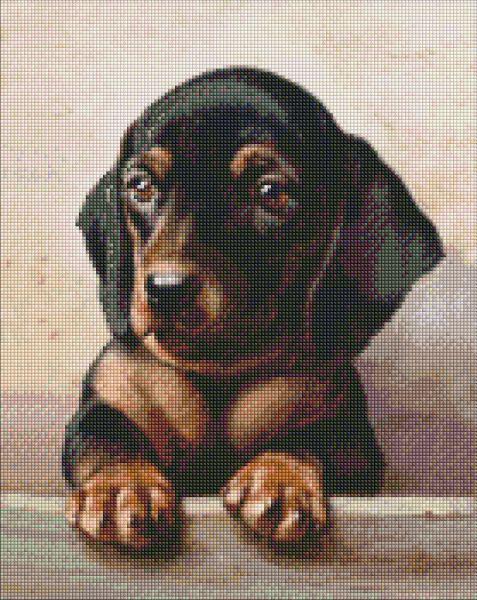 Алмазная мозаика Идейка Преданный взгляд 40x50 см (Id-AMO7296)