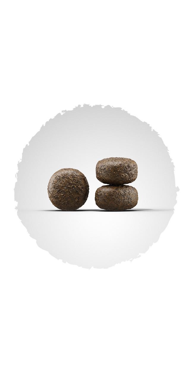 Сухой корм Josera Sensi Junior 15 кг для щенков средних и крупных пород - фото 2 Сухой корм Josera Sensi Junior 15 кг для щенков средних и крупных пород - фото 2