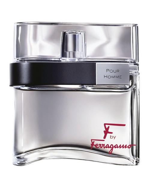 Туалетная вода для мужчин Salvatore Ferragamo F by Ferragamo Pour Homme 100 мл в транспортной упаковке (11263)