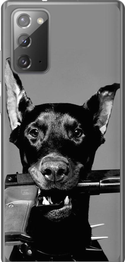 Чехол на Samsung Galaxy Note 20 Доберман (2745t-2036-42517) Чехол на Samsung Galaxy Note 20 Доберман (2745t-2036-42517)