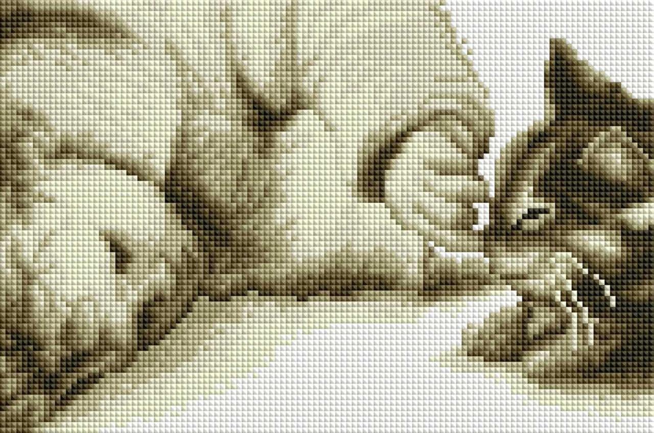Алмазная мозаика ColorArt Мальчик и котик DT719 20x30 см