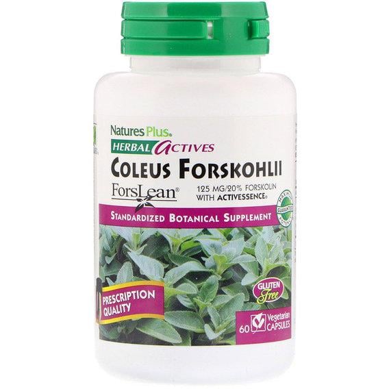 Экстракт для похудения Nature's Plus Herbal Actives Coleus Forskohlii 125 мг 60 Veg Caps (NAP-07170)