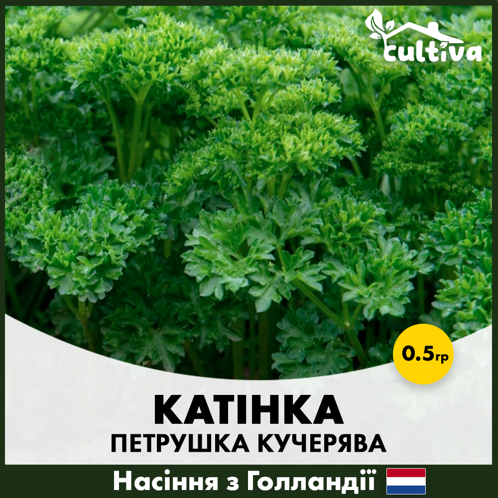 Насіння кучерявої петрушки Enza Zaden Катінка 0,5 г (00375)