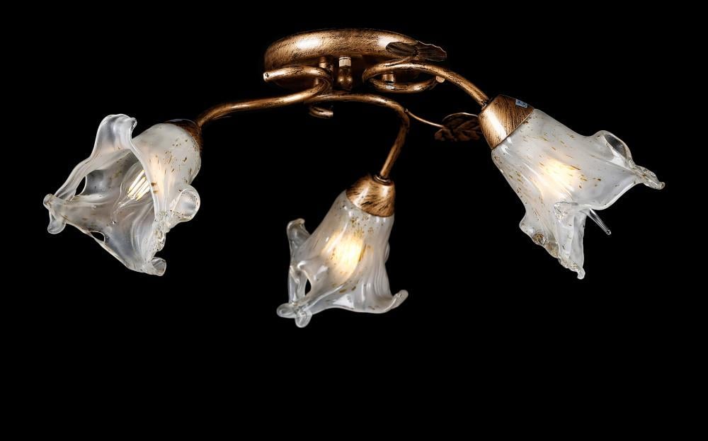 Люстра с плафонами Ray L10120/3 (IR005555)